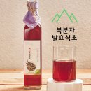 강화자연고을