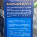 천지인농장 | 강원도 평창 가볼만한곳 용평 애니포레 모노레일 시간 겨울 알파카농장 정보