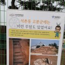 토성나루 이미지