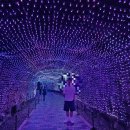 [광명/가학]여름엔 무조건 여기! 광명동굴 입장료, 주차 팁부터 미디어아트까지 총정리 (데이트/아이와...