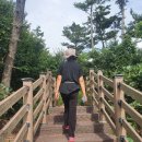 삽시도팬션나라 이미지