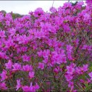 인생여행 이미지