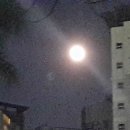 달아래행복 이미지