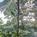 화성행정사 이미지