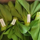 평창농원 이미지