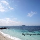 서귀포농업기술센터 이미지