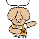 하쏘헤어 이미지