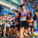 축제-평화의 축제 이미지