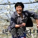 개in샵(개in#) 이미지