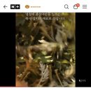 농부아지매 | 비야 내려라 간절히 바랬던 날 (소담바리 이벤트 발표 안내)
