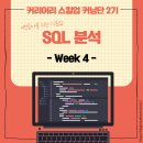 325006 | [커리어리 스킬업 커닝단 2기] SQL 분석 - week 4