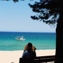 등명해변 이미지