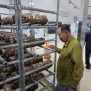 용강3리 이미지