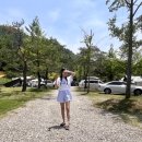 양평 솔뜰캠핑장 : 단점이 없는게 단점/어른도 아이도 대만족 캠핑장(놀이방,수영장,행사,애견동반)