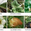 해충박사 이미지