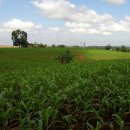 신명농장 이미지