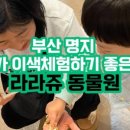 명지근린공원 유아숲체험원 이미지