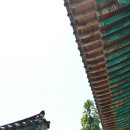 해운정사