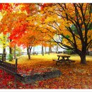 전주 하늘 이미지