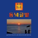[동녘글밭] 11월 14일(화) '굿바이 활란에서 슬기를' 이미지