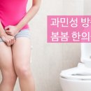 봄봄 이미지