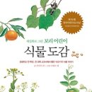 식물도감 이미지