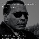 알리영어