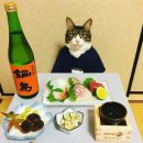 태평양수산회세꼬시 이미지