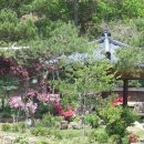 늘푸른집 이미지