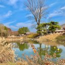 하늘농원1호 이미지