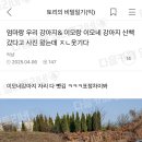 이모네 강아지 이미지