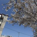 참사랑약국 | 창원 산후도우미 추천 참사랑어머니회 창원지점 후기