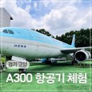 한국종합비지니스 | 고양 아이와 가볼만한 곳 한국항공대학교 A300 항공기 체험 예약 정보 꿀팁