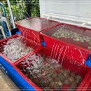 동해바다회 이미지