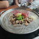 제이오비 유도.주짓수 용산 | OPMT 퍼플퀸 시합 참관 후기