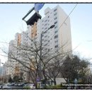 하단동1044 이미지