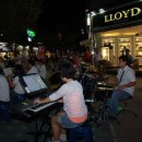 장미의거리7 이미지