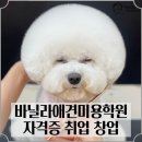 꿈을이루는학원