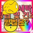 응달말로19번길 | 구리시블라인드 설치 후기 갈매동커튼 하나로 달라진 홈무드