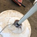 산마늘이사는펜션 이미지