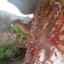 산너머남촌 이미지