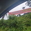 목향밥상1 이미지