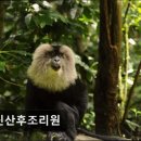 그린산후조리원 이미지