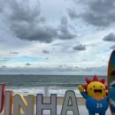 진하숯불갈비 이미지