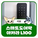 아카라 | 지문인식 IoT 도어락 [아카라 L100] 내돈내산 한 달 후기(스마트싱스 연동)