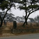 2008/05/02(금) - 경주 남산 포석정-금오정 코스(경주 나정) 이미지