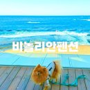 고고씽펜션 | 속초애견동반펜션 오션뷰숙소 고성애견동반펜션 비놀리안펜션 바다뷰 스파 일출까지 완벽후기