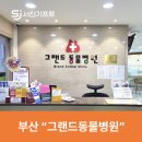 그랜드 동물병원 이미지