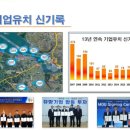 플라밍고C.C 이미지