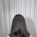 컷트에더하다